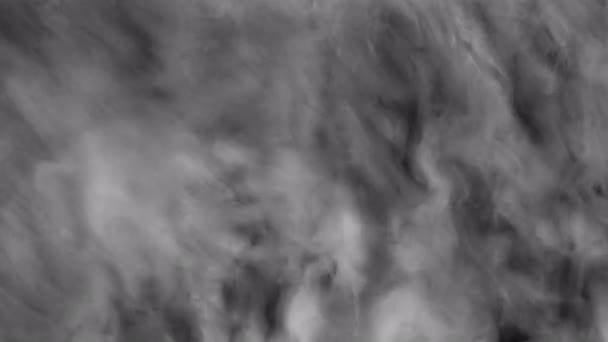 Fehér füst alatt fekete — Stock videók