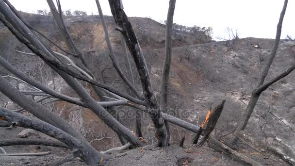 カリフォルニアの火事から丘の中腹に黒焦げのショットをパン カリフォルニア州オーハイ バレーでトーマス 火災から余波のショットをパン — ストック動画
