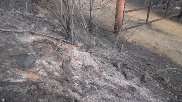 Mirando Por Encima Puerta Entrada Quemada Dañada Por Incendios Forestales — Vídeo de stock