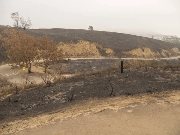 Vista Grandangolare Grant Park Distrutto Thomas Fire California Ventura California — Foto Stock