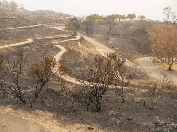 Sned Boll Metar Beskådar Förstörda Grant Park Från Thomas Fire — Stockfoto