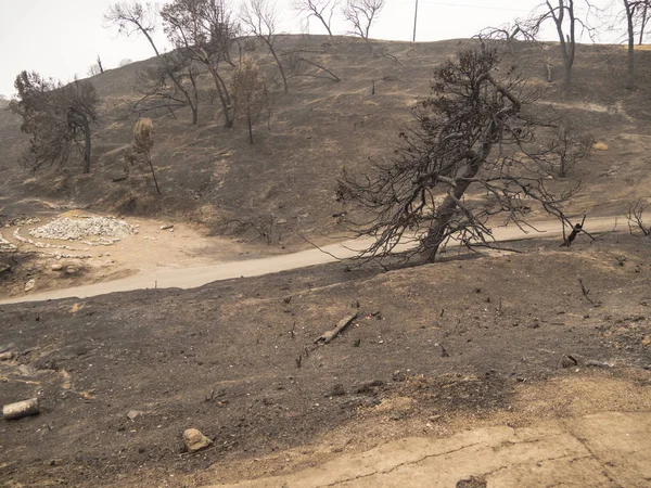 Sned Boll Metar Beskådar Förstörda Grant Park Från Thomas Fire — Stockfoto