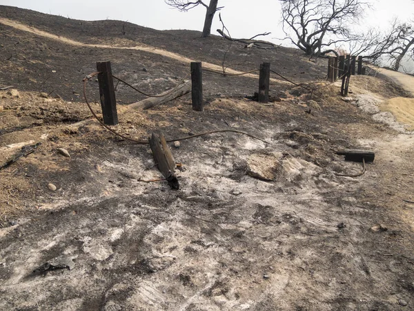 Valla Poste Carbonizada Gravemente Dañada Parque Público —  Fotos de Stock