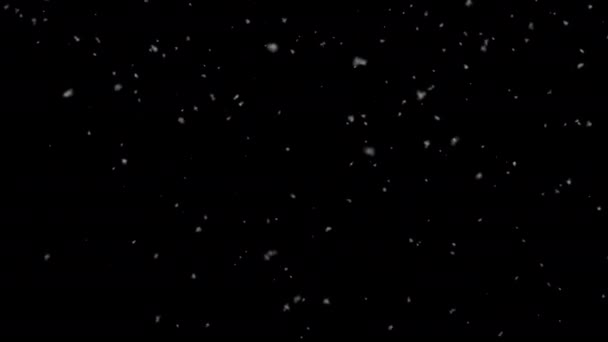 Boucle de neige légère / Un léger élément de neige en boucle sur fond noir .