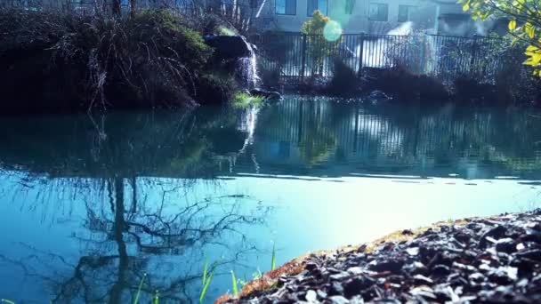ホテルの中庭の静かで穏やかな池 ホテル中庭で朝の静かな池 — ストック動画