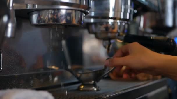 Barista makes coffee by professional coffee machine — Stock Video