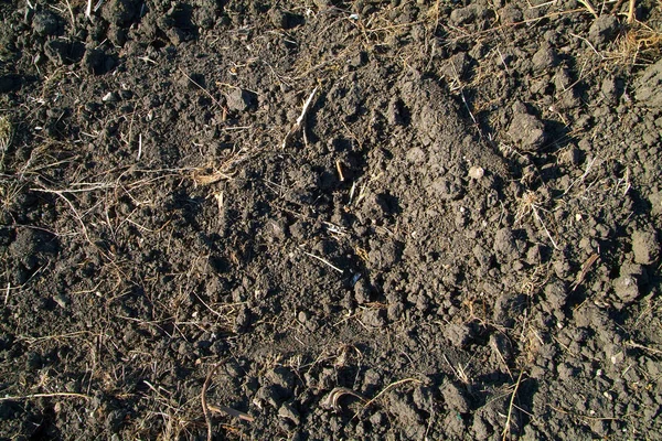 Dokulu arka plan sürülmüş arazi. Doku dünya