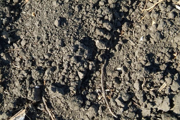 Dokulu arka plan sürülmüş arazi. Doku dünya