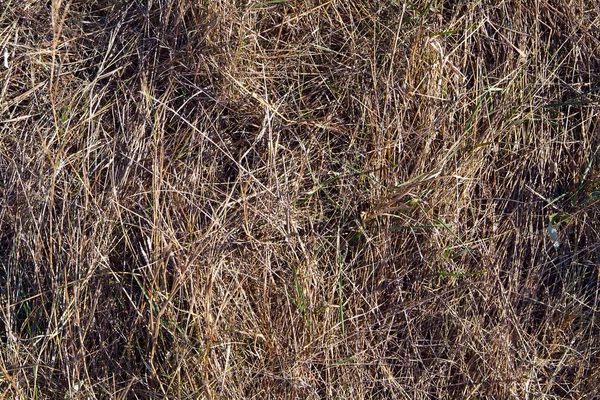 Kuru ot ve toprak kökenli dokulu arka plan