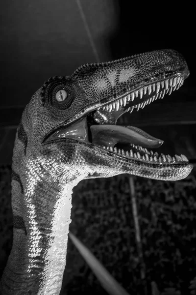 Tyrannosaurus rex, mâchoire forte pleine de dents pointues et dangereuses . — Photo