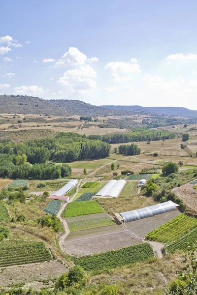 Terreno cultivado em paisagem rural — Fotografia de Stock