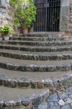 güzel çiçekli tencere