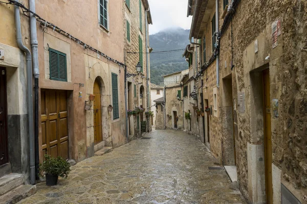 güzel çiçekli tencere