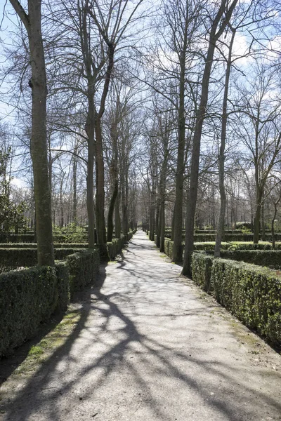 Royal gardens i madrid在马德里皇家花园 — Stockfoto