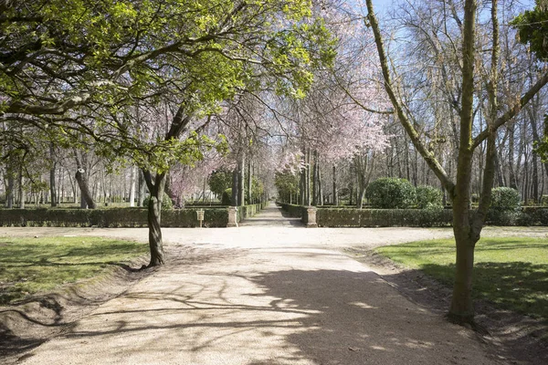 Королевские сады Мадрида — стоковое фото