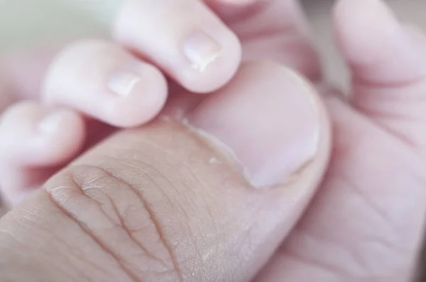 Hand of newborn holding father — Stock Photo, Image