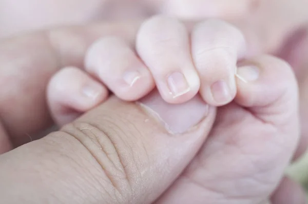 Hand of newborn holding father — Stock Photo, Image