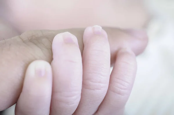 Hand of newborn holding father — Stock Photo, Image