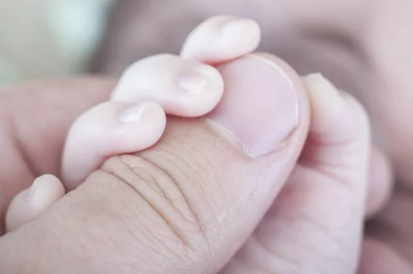 Hand av nyfödda innehav fader — Stockfoto