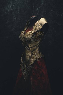 Kadınlar için metal altın zırh