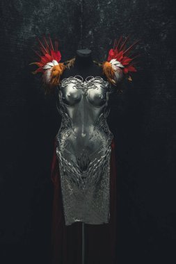 Kadınlar için gümüş zırh