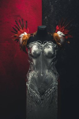 Kadınlar için gümüş zırh