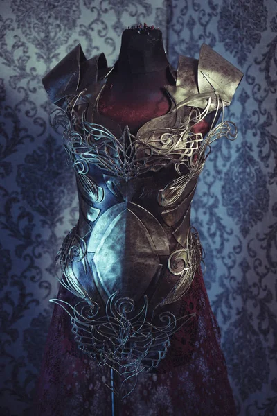 Armatura della donna Robusto pettorale in metallo — Foto Stock