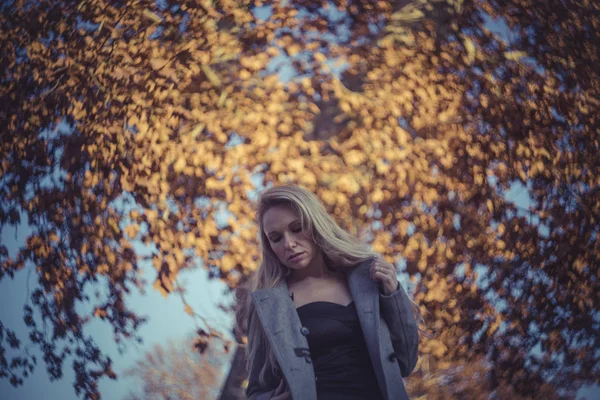 Blonde vrouw in de herfst landschap — Stockfoto