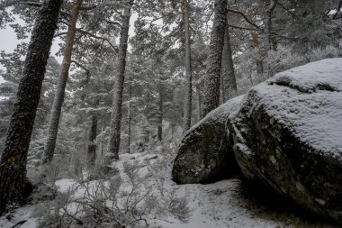 Güzel karlı manzara 