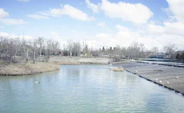 Şehir Aranjuez Spanya Bulunan Bahçe — Stok fotoğraf