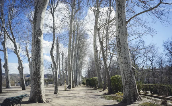 Jardin Ville Aranjuez Situé Espagne — Photo
