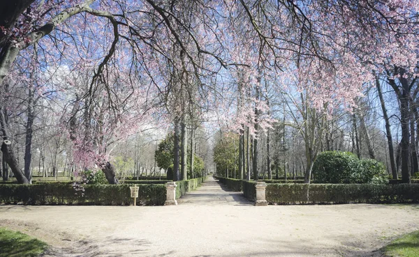Κήπο Του Πόλη Της Aranjuez Στην Ισπανία — Φωτογραφία Αρχείου