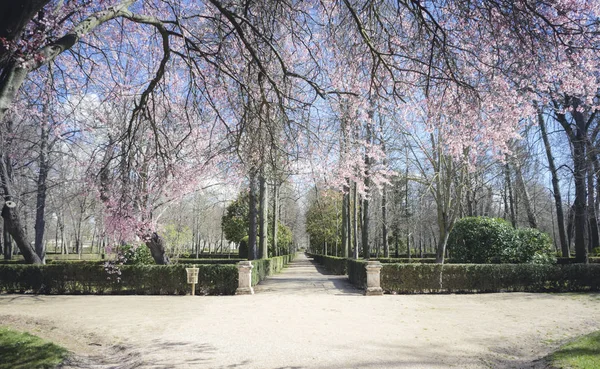 Zahrada Města Aranjuez Nachází Španělsku — Stock fotografie