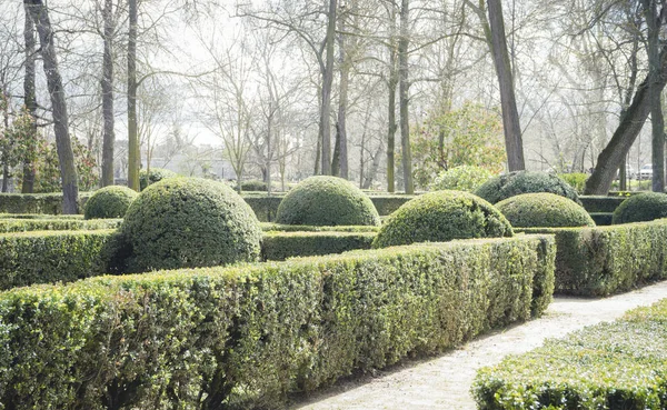Garden of the city of Aranjuez, located in Spain.