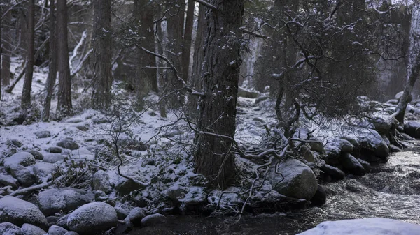 Mountain Snowy Landscape River Waterfall Background Frozen Trees — Stock Photo, Image