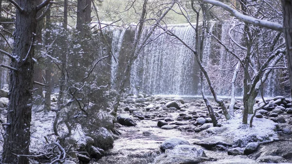 Paisaje Nevado Con Río Cascada Fondo Árboles Congelados —  Fotos de Stock