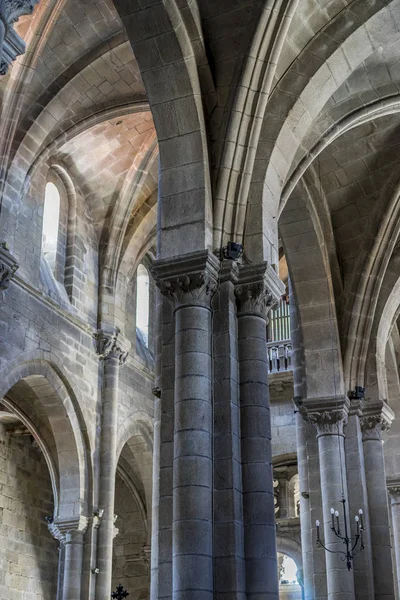 Architecture Gothique Médiévale Dans Une Cathédrale Espagne Pierres Belles Larves — Photo