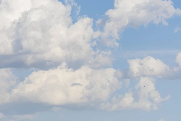 Летнее Небо Голубыми Цветами Чистыми Белыми Облаками — стоковое фото