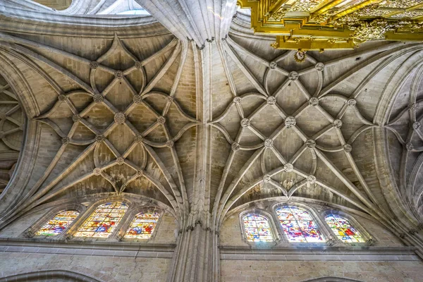 Interior Catedral Gótica Segovia Columnas Arcos Con Grandes Ventanales —  Fotos de Stock