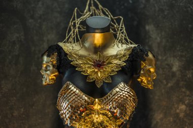 Eski muhteşem altın zırh ve el yapımı metal parçalar, Gotik parçaları ve kırmızı tüyler bir kask ile bir altın ejderha ölçekli zırh vardır, bu kırmızı etek ve takı metal parçaları