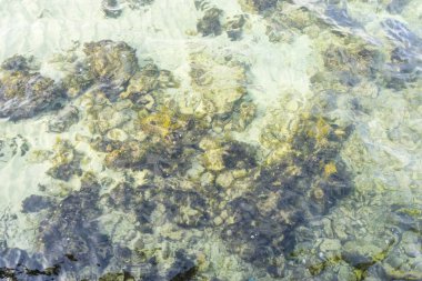 Tatil, kayalar Cabo de Formentor Balearic Islands, İspanya için yanında Akdeniz denizin dalgaları ile deniz kenarında. İspanyol turizm sahneleri