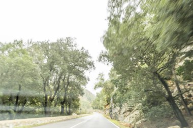 rustik, Çiçeklik sokak turizm Adası Mallorca, İspanya Valdemosa şehir