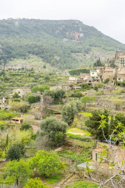 rustik, Çiçeklik sokak turizm Adası Mallorca, İspanya Valdemosa şehir