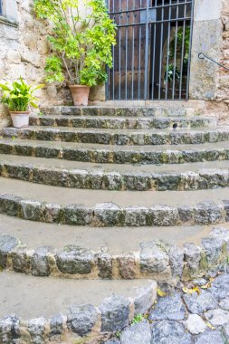 rustik, Çiçeklik sokak turizm Adası Mallorca, İspanya Valdemosa şehir