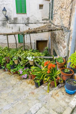 rustik, Çiçeklik sokak turizm Adası Mallorca, İspanya Valdemosa şehir