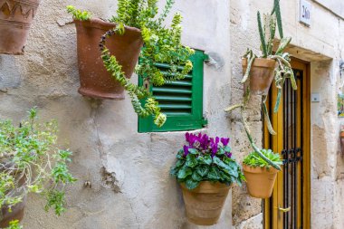 Balear Adaları İspanya Valldemosa şehir çiçeklerle duvara asılı tencere