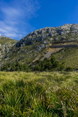 kayalıklardan Formentor, İspanya Mallorca Adası kuzeyinde bölge