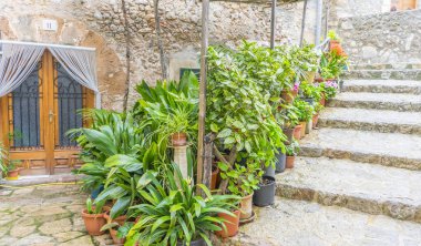 Tatil, Valldemossa geleneksel çiçek dekorasyonu, ünlü eski Akdeniz Köyü Mayorka ile sokakta güzel. Balear adaya Mallorca, İspanya