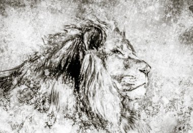 Dijital tablet, Sepya, aslan ile yapılan resimde