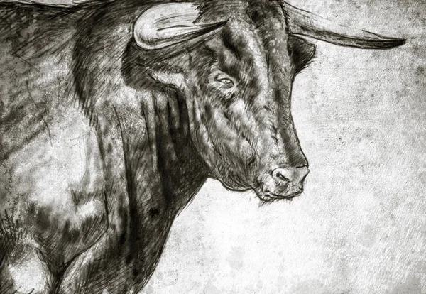 Sketch Made Digital Tablet Spanish Bull Vintage Paper Handmade Illustration — Stock Photo, Image